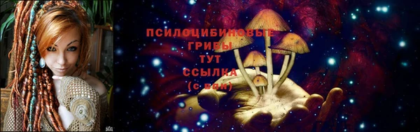 молекула духа Корсаков