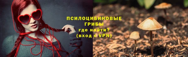 МДПВ Навашино